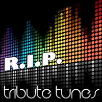 Perfect Pitch - R.I.P. (Tribute To Rita Ora feat. Tinie Tempah) 