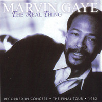 Marvin Gaye - The Real Thing: The Final Tour, 1983 - Live