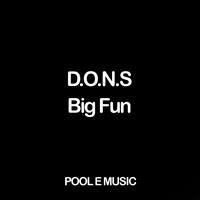 D.O.N.S. - Big Fun