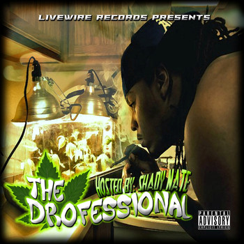 Shady Nate - The Drofessional (Explicit)