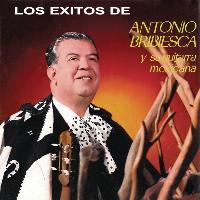 Antonio Bribiesca - Los Éxitos de Antonio Bribiesca Y su Guitarra Mexicana