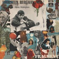 Thorstein Bergman - Fragment