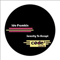 Ido Frumkin - Serenity to Accept