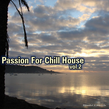 Various Artists - Passion for Chill House: Vol. 2