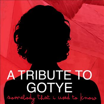Various Artists - A Tribute to Gotye
