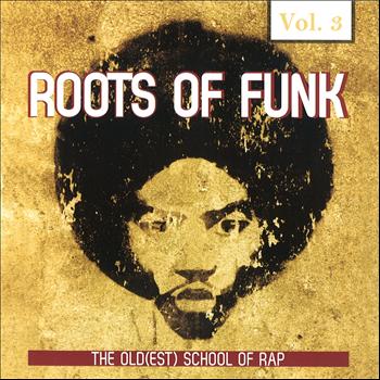 Various Artists - Roots of Funk, Vol. 3
