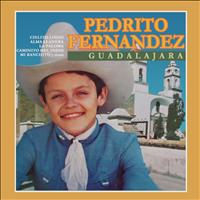 Pedrito Fernández - Guadalajara