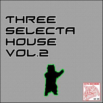 Various Artists - Three Selecta House, Vol. 2