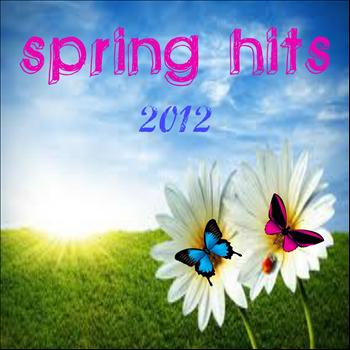 Various Artists - Spring Hits 2012