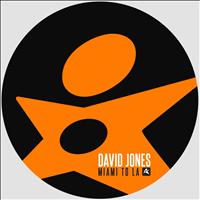 David Jones - Miami to LA