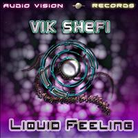Vik Shefi - Into the Atmosphere