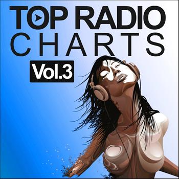 Various Artists - Top Radio Charts, Vol. 3