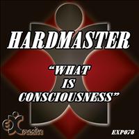 Hardmaster - What Is Consciousness