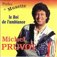 Michel Pruvot - Perles de musette (Le roi de l'ambiance)