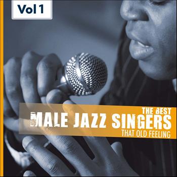 Various Artists - Male Jazz Singers, Vol.1