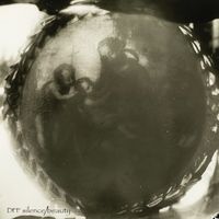 Dark Filth Fraternity - Silence/Beauty