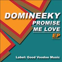 Domineeky - Promise Me Love EP