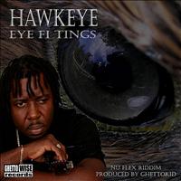 Hawkeye - Eye Fi Tings