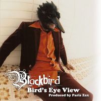 Blackbird - Bird's Eye View (Explicit)