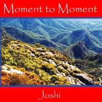 Joshi - Moment to Moment
