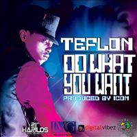 Teflon - Do What You Want