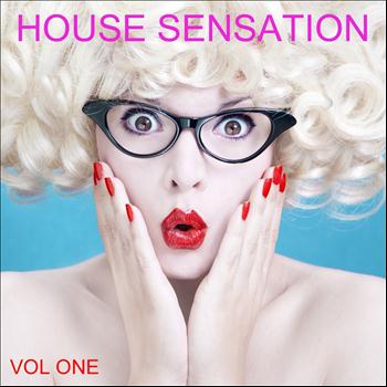Various Artists - House  Sensation, Vol. 1 (Selected By Paolo Madzone Zampetti)