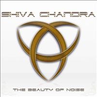 Shiva Chandra - The Beauty of Noise
