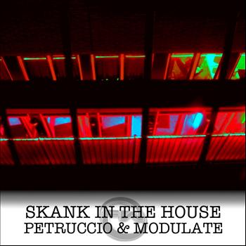 Petruccio & Modulate - Skank In The House