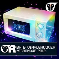 BK & Vinylgroover - Microwave 2012