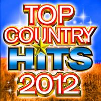 Modern Country Heroes - Top Country Hits 2012
