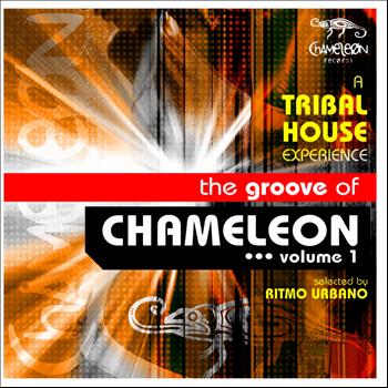 Various Artists - The Groove of Chameleon, Vol. 1 (A tribal House Experience, selected By Ritmo Urbano)