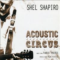 Shel Shapiro - Acoustic Circus