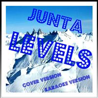 Junta - Levels