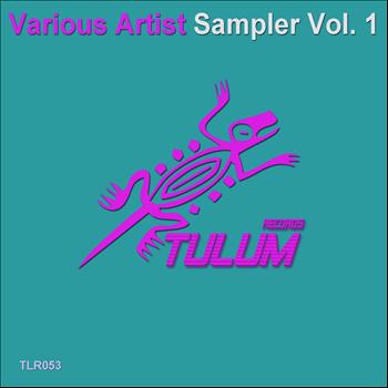 Various Artists - Sampler, Vol. 1