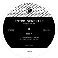 Entro Senestre - Flashbacks EP
