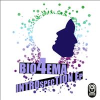 Bio4Ema - Introspection