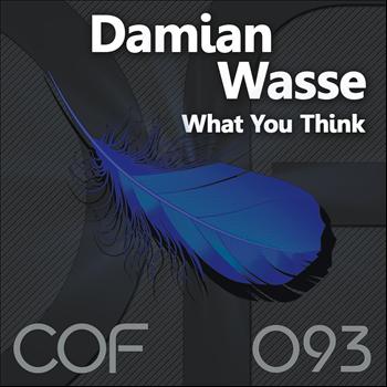 Damian Wasse - What You Think