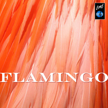 Various Artists - Flamingo