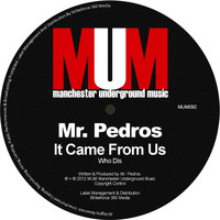 Mr. Pedros - It Came from Us / Who Dis