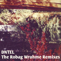 Dntel - The Robag Wruhme Remixes