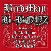 Birdman - B-Boyz