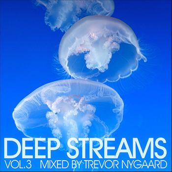 Various Artists - Deep Streams Vol.3