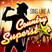 Modern Country Heroes - Sing Like A Country Superstar
