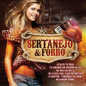 Various Artists - Sertanejo e Forró