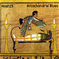 Noah23 - Mitochondrial Blues