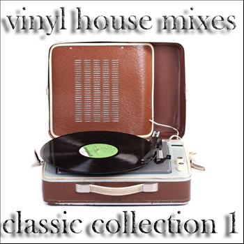 Various Artists - Vinyl House Mixes, the Classic Collection 1 (DJ House and Electro Tools)