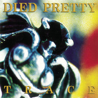 Died Pretty - TRACE