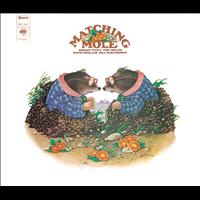 Matching Mole - Matching Mole