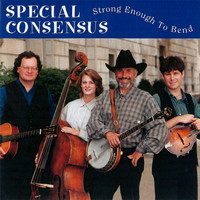Special Consensus - Strong Enough to Bend