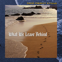 David Parmley - What We Leave Behind